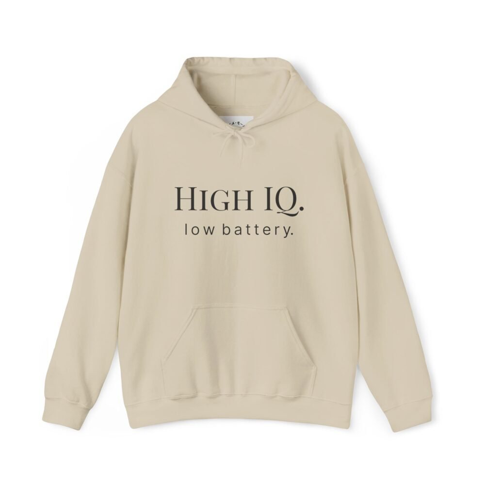 Home high iq. low battery. hoodie